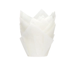 Muffin tulip white