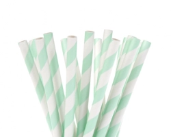 Bulk pack straight paper straws stripes mint - 20 cm