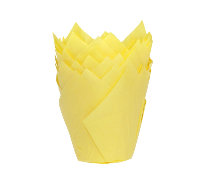 Muffin tulip yellow