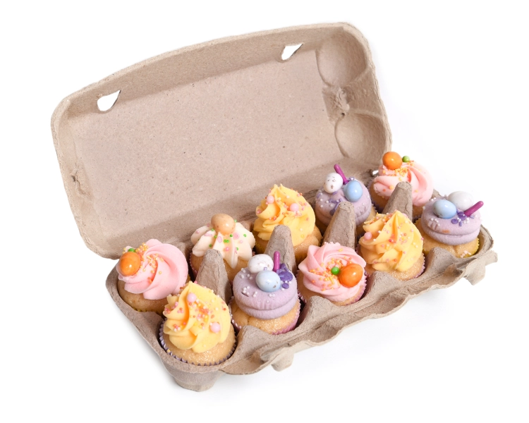 Egg carton 10 holes PULP