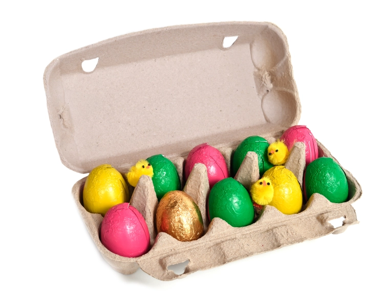 Egg carton 10 holes PULP